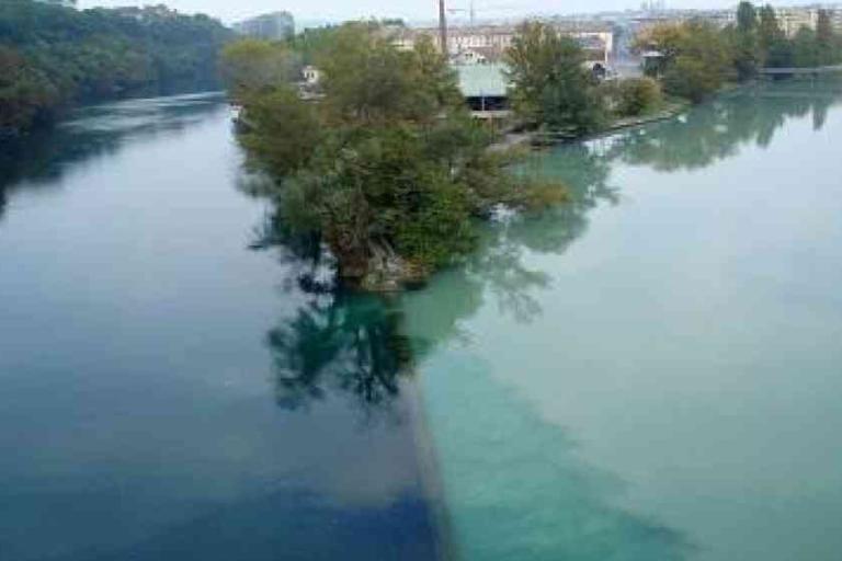 Two rivers with distinctly different water colors merge at a confluence, with trees and buildings visible on the riverbank in the background.