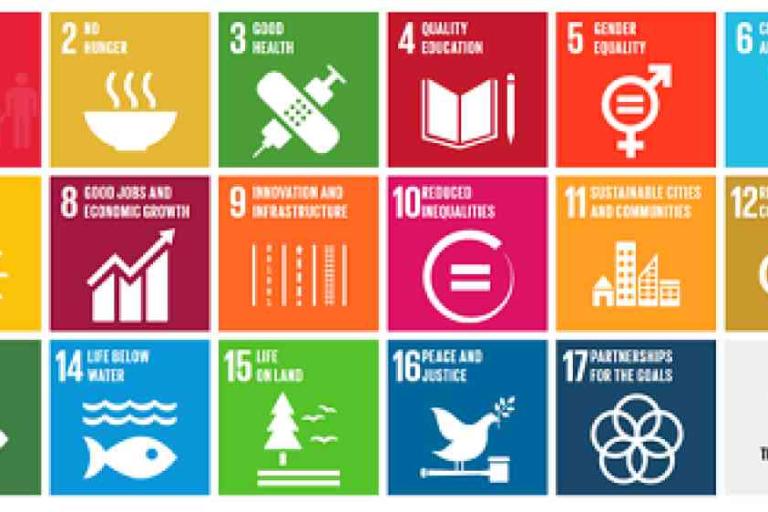 A grid of colorful icons representing the 17 United Nations Sustainable Development Goals, each with a symbol and brief description.
