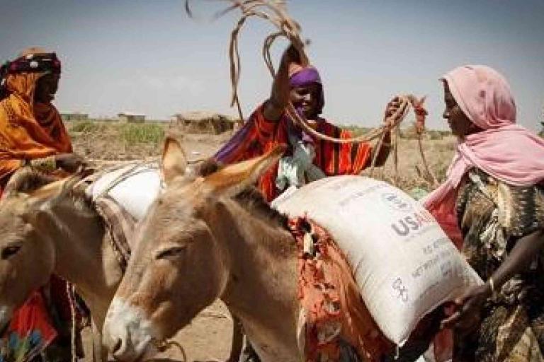 Four women load donkeys with sacks of supplies marked 'USAID' in a dry, rural landscape under daylight.