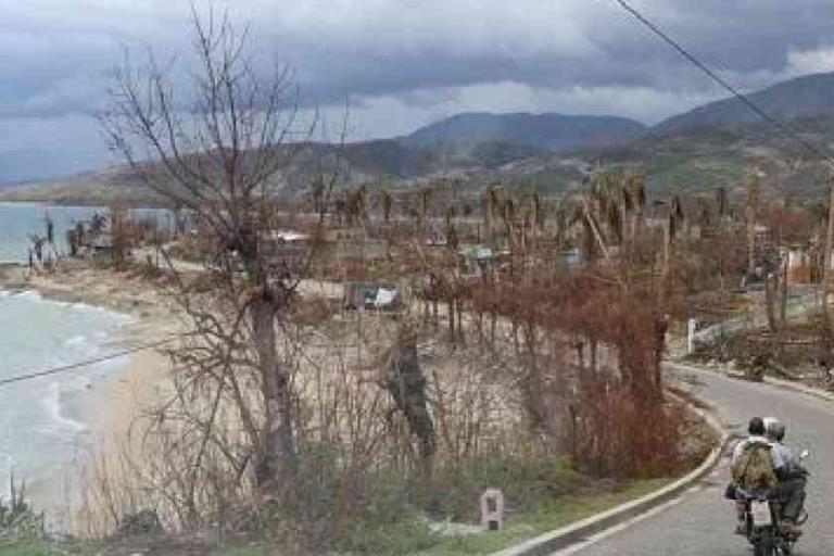 A person rides a motorcycle along a coastal road lined with bare, damaged trees under a cloudy sky.