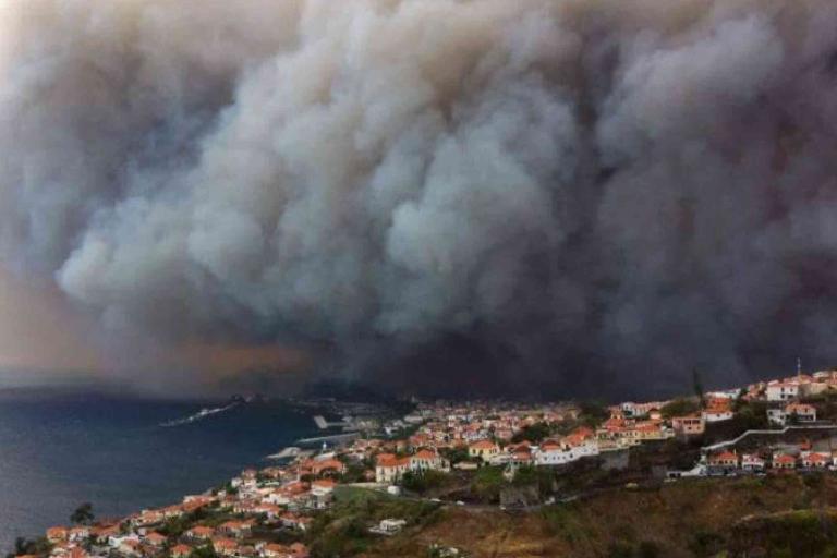 Thick smoke from a large wildfire engulfs the sky above a coastal town with red-roofed buildings near the sea.