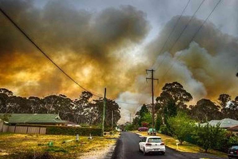 A suburban street with cars and houses under a sky filled with thick, dark smoke from a nearby wildfire.