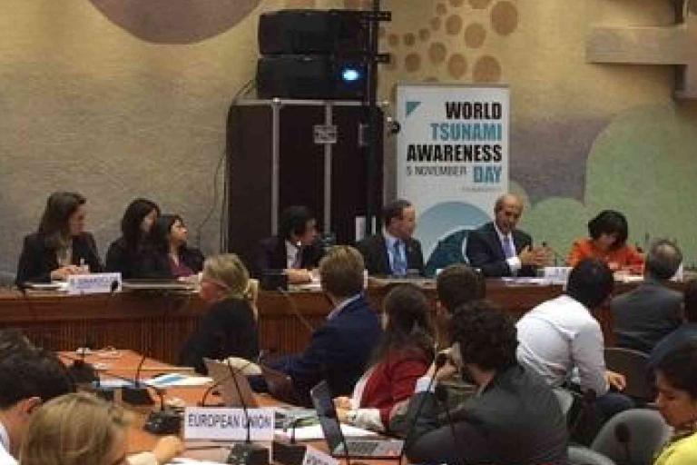 A panel of speakers and attendees participate in a conference room for World Tsunami Awareness Day, with banners and microphones visible.