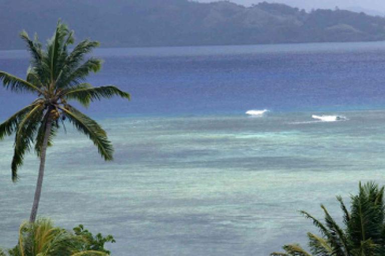 A calm tropical coastline with clear blue water, gentle waves, and palm trees in the foreground. Hills are visible in the distance.