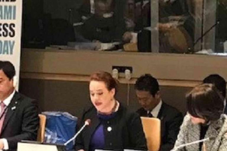 Four people sit at a conference table; one woman speaks into a microphone. A banner in the background reads "World Tsunami Awareness Day.