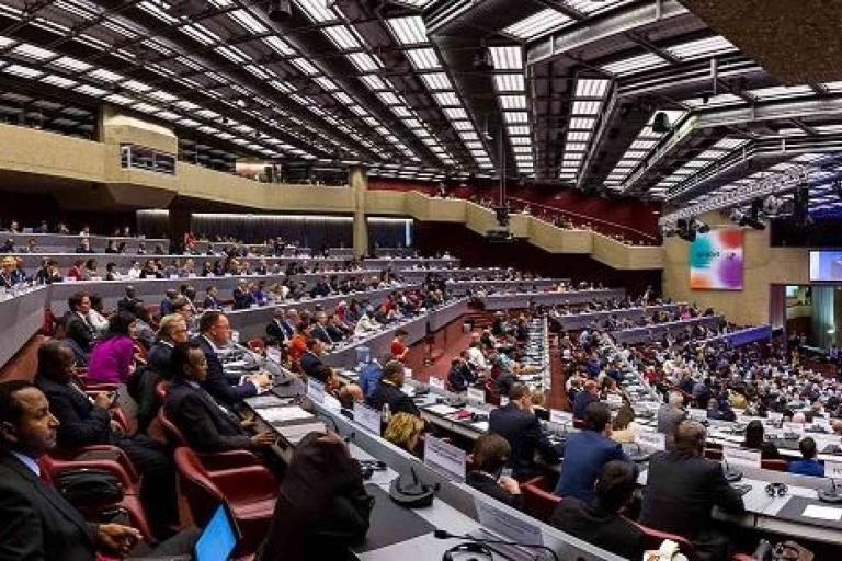 A large conference hall filled with delegates seated in rows, attending a formal meeting or assembly under a modern, well-lit ceiling.