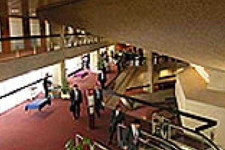 A view of a large indoor lobby with red carpet, people walking, multi-level walkways, and modern architecture.