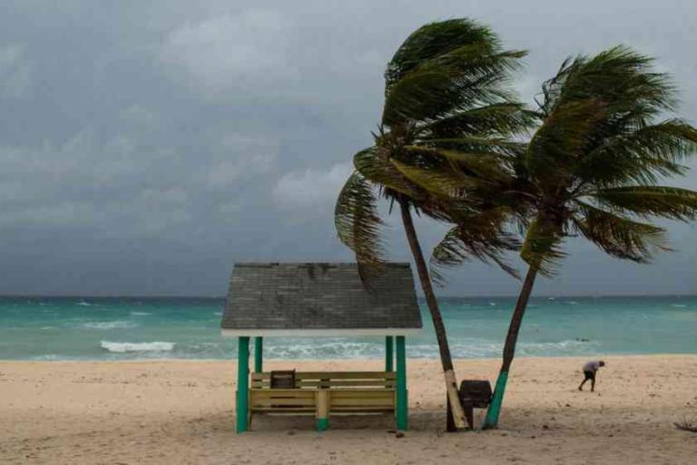 A small shelter and two palm trees stand on a windy beach with rough waves; a person bends over near the shore under a cloudy sky.