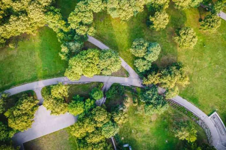Aerial view of a park with winding paved paths, green grass, and clusters of trees.