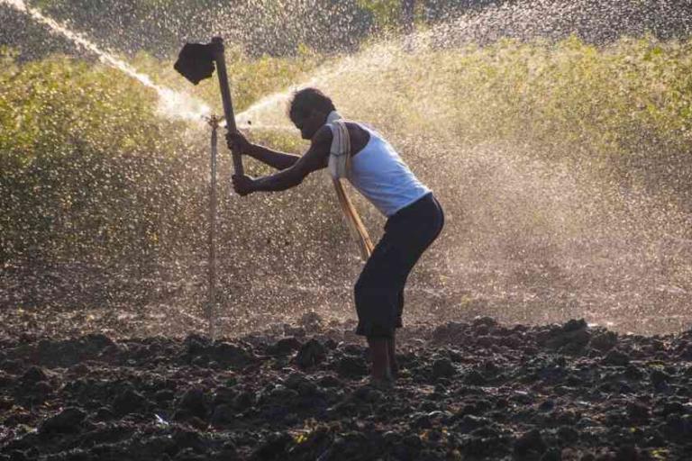 A person in a field uses a hoe to till soil while water sprays from an irrigation system in the background.