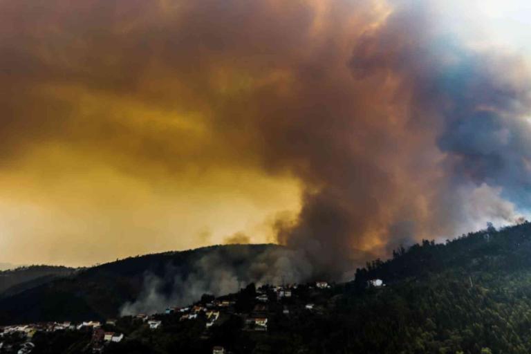Smoke billows from a wildfire on a forested hillside near a residential area under a cloudy, orange-tinted sky.