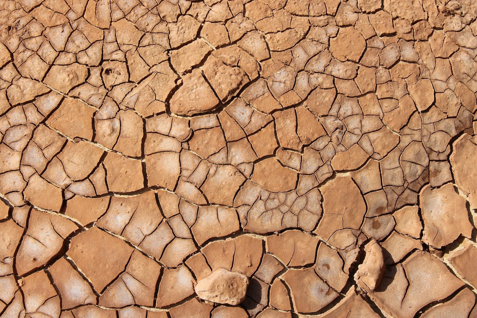 Текстура потрескавшейся земли. Текстура земли бесшовная. Пустыня трещины. Альфа потресканной земли. Dry cracked.