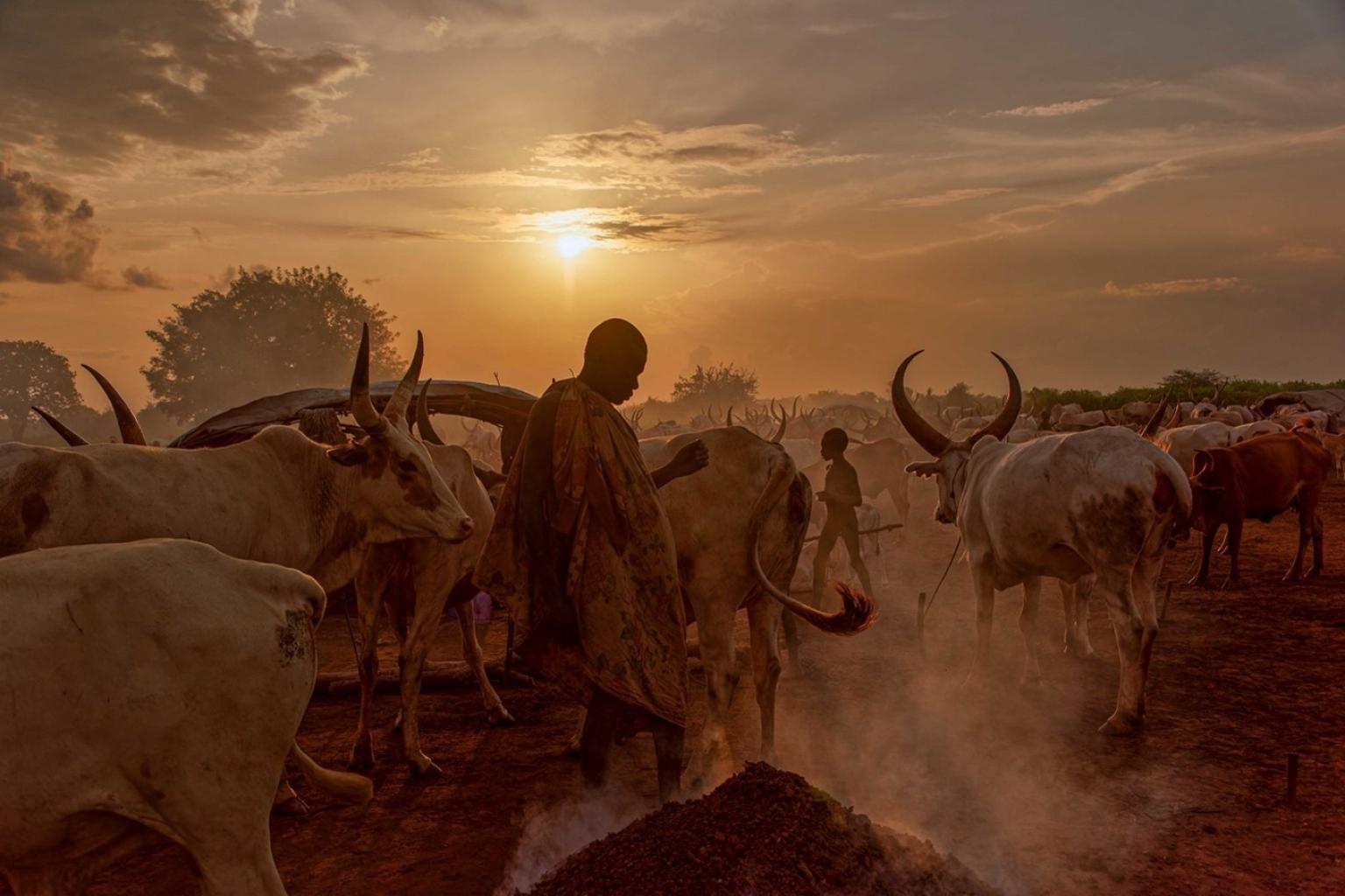 Resilience and Innovation: Advancing Early Warnings in Sudan and South ...