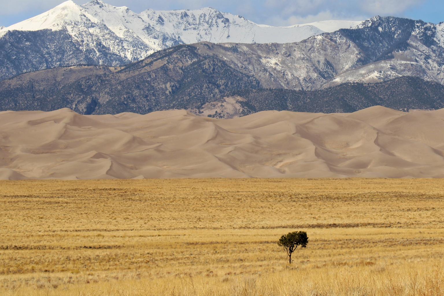 New report suggests more global temperature records ahead