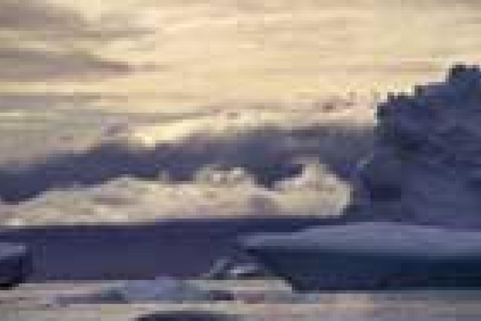 The Chemical Composition of the Polar Atmosphere—the IPY Contribution
