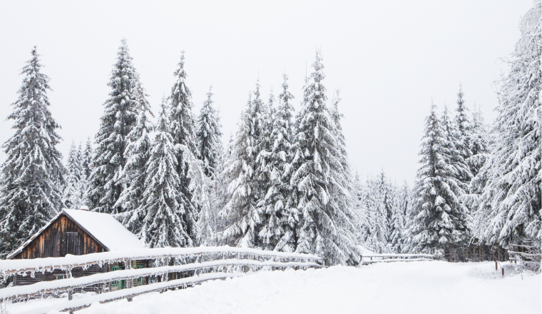 A snow covered road with trees and a cabin.