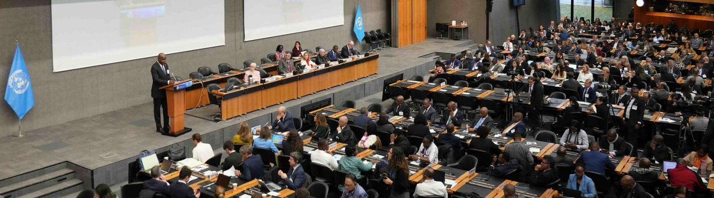 A large conference room with delegates seated at long tables, a speaker at a podium, and two projection screens displaying the speaker at the front.