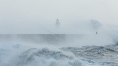 Newhaven, Sussex, Stormy Seas With Wave Crashing against Sea Wall. Lighthouse Partially Visible Behind. Seagull Flying Through Spray.