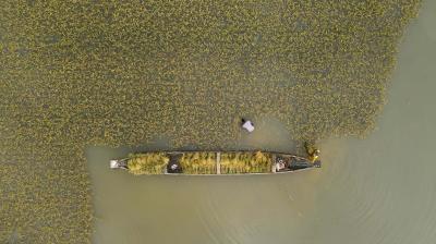 An aerial view of a boat floating in the water.