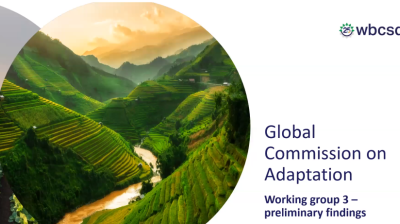 Global commission on adaptation – working group preliminary findings.