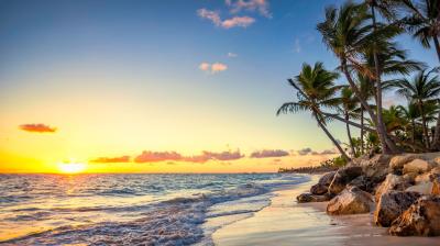 A beach with palm trees and rocks at sunset.