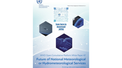 The poster for the future of national hysteroscopy and hysteroscopy services.