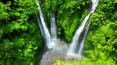 Aerial view of a double waterfall amidst lush green foliage.