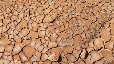 Cracked and dry earth surface with brown and beige tones, featuring irregularly shaped pieces of soil forming a mosaic-like pattern.