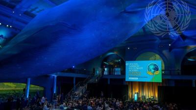 A large hall with a giant whale model hanging from the ceiling, a crowd seated below, and a speaker addressing the UN Climate Action event, as shown on the illuminated screen in the background.