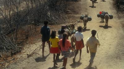 A group of people walking on a dirt path with donkeys carrying goods, surrounded by dry shrubs.