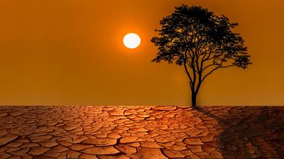 A barren landscape with dry, cracked earth, a single tree, and the sun low on the horizon against an orange sky.