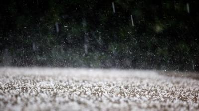 Close-up of hailstones falling and accumulating on the ground, with blurred greenery in the background.