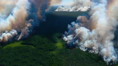 Aerial view of a large forest fire with thick smoke and flames spreading through dense green trees.