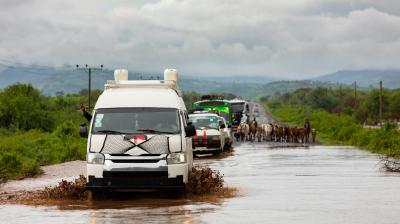 Several vehicles drive through a flooded rural road, while a herd of cattle is being guided in the same direction under a cloudy sky.
