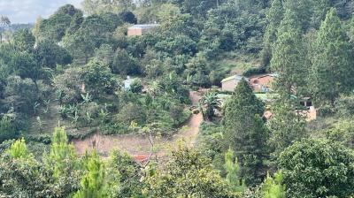 A small rural settlement with several houses is nestled among dense, green trees and plants on a hillside under a partly cloudy sky.