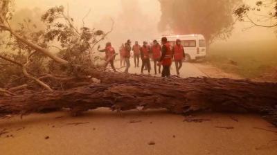 A fallen tree blocks a road as several people in red uniforms stand nearby with an emergency vehicle in smoky conditions.