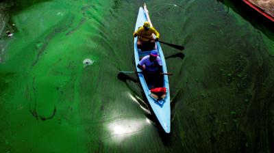 Two people paddle a blue canoe through green, algae-covered water, with bright sunlight reflecting off the surface.