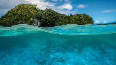 A split-level view of clear blue ocean water with an underwater scene below and green, tree-covered islands and a cloudy sky above the surface.
