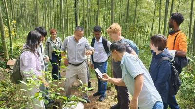 A group of people stand in a bamboo forest, observing a man in the center who appears to be explaining or demonstrating something near a cylindrical object on the ground.