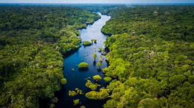 A river winds through dense, lush rainforest under a cloudy sky, with green trees and vegetation lining both sides of the water.