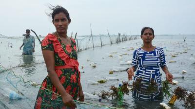 Three women stand in shallow water tending to seaweed, surrounded by floating plastic bottles and debris, on a cloudy day.