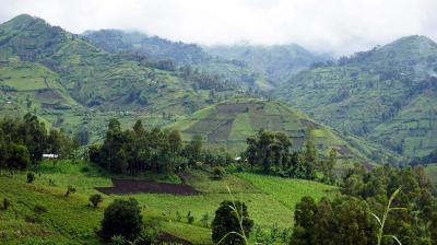Terraced green hills and mountains under a cloudy sky.