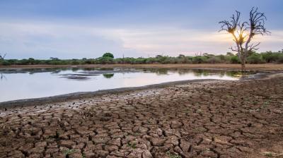 A cracked, dry lakeshore with sparse vegetation, a small body of water, and a leafless tree silhouetted by the setting sun.