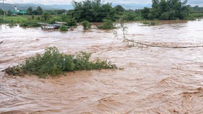 A flooded river with brown, swirling water surrounding trees and a partially submerged structure.