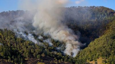 Wildfire risk set to increase: UNEP