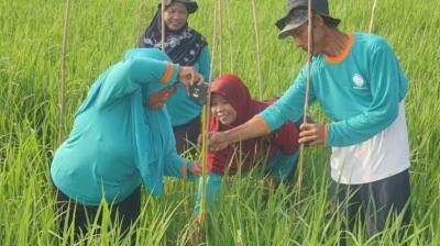 Climate field schools in Indonesia