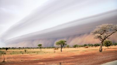 New website for sand and dust storm warnings