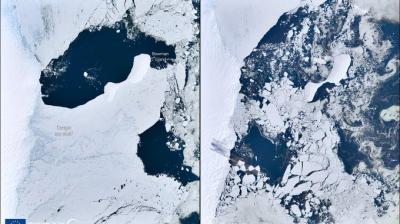Antarctic ice shelf collapses March 2022