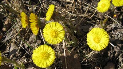 Photo: Eija Vallinheimo