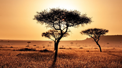 Courtesy of Pixabay.com